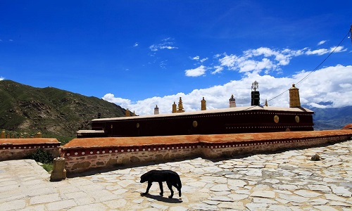 Drepung-Monastery-Lhasa